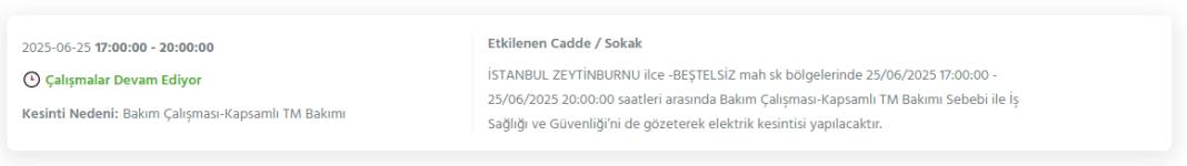 Bu gece yarısından itibaren başlıyor: İstanbul'un 21 ilçesi karanlığa gömülecek 33